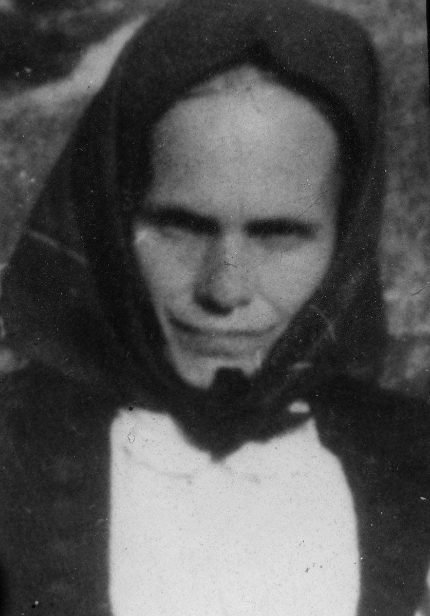 Ljubica supruga Petra 1